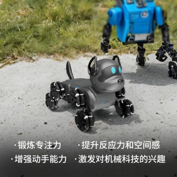 كلب ميكانيكي ستنت