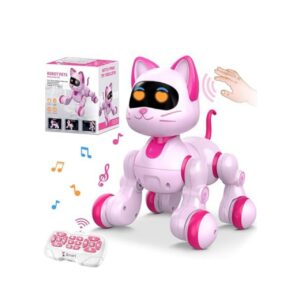 القطة الذكية السعيدة