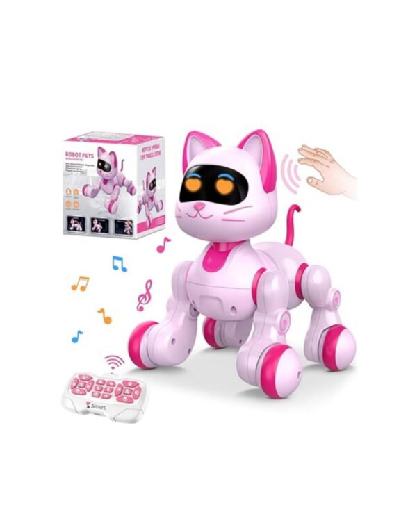 القطة الذكية السعيدة