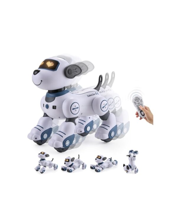 كلب ذكي أزرق BG1533